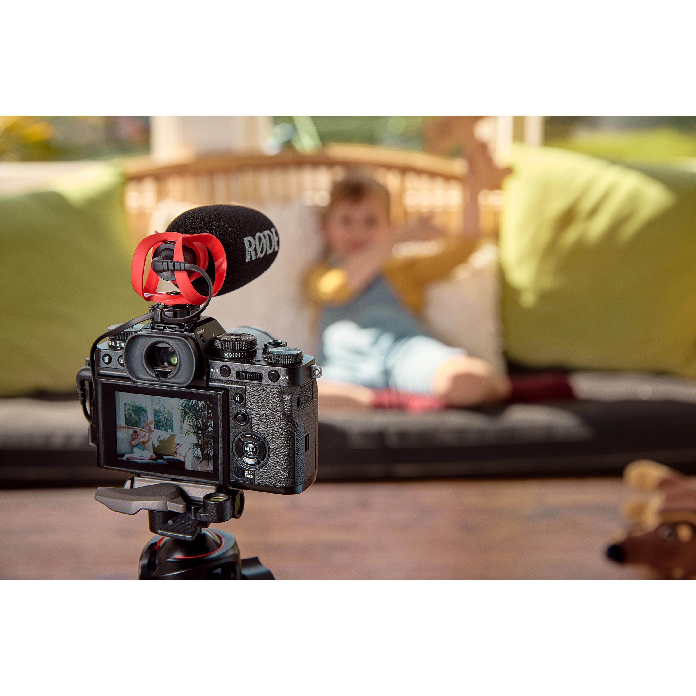 VideoMicro II