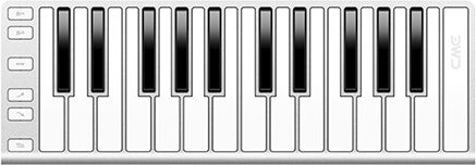 Xkey25