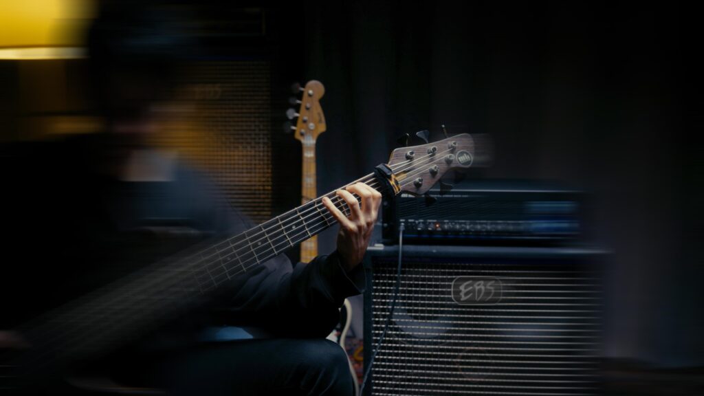 EBS Sweden Bass Equipment